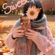 ヒメ日記 2025/11/11 10:27 投稿 糸井(いとい) 人妻出逢い会 百合の園 山の手本店