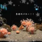 ヒメ日記 2025/12/05 21:17 投稿 糸井(いとい) 人妻出逢い会 百合の園 山の手本店