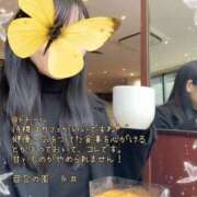 ヒメ日記 2026/01/15 14:17 投稿 糸井(いとい) 人妻出逢い会 百合の園 山の手本店