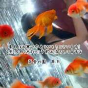 ヒメ日記 2026/02/11 13:49 投稿 糸井(いとい) 人妻出逢い会 百合の園 山の手本店