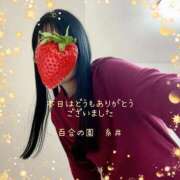 ヒメ日記 2026/02/19 00:17 投稿 糸井(いとい) 人妻出逢い会 百合の園 山の手本店