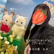 ヒメ日記 2026/03/09 22:37 投稿 糸井(いとい) 人妻出逢い会 百合の園 山の手本店