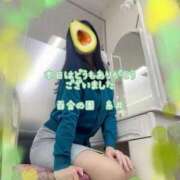 ヒメ日記 2026/03/17 21:47 投稿 糸井(いとい) 人妻出逢い会 百合の園 山の手本店