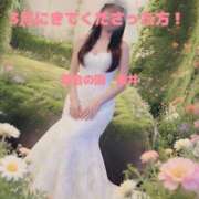 ヒメ日記 2026/04/01 17:27 投稿 糸井(いとい) 人妻出逢い会 百合の園 山の手本店