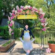 ヒメ日記 2026/05/11 11:17 投稿 糸井(いとい) 人妻出逢い会 百合の園 山の手本店