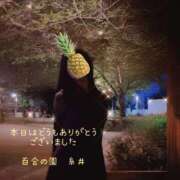ヒメ日記 2026/05/12 00:17 投稿 糸井(いとい) 人妻出逢い会 百合の園 山の手本店