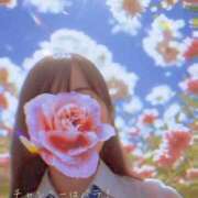 ヒメ日記 2026/06/03 10:47 投稿 糸井(いとい) 人妻出逢い会 百合の園 山の手本店