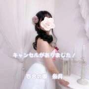ヒメ日記 2026/07/02 11:35 投稿 糸井(いとい) 人妻出逢い会 百合の園 山の手本店