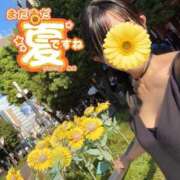 ヒメ日記 2026/08/20 11:17 投稿 糸井(いとい) 人妻出逢い会 百合の園 山の手本店