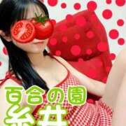 ヒメ日記 2026/09/15 11:17 投稿 糸井(いとい) 人妻出逢い会 百合の園 山の手本店