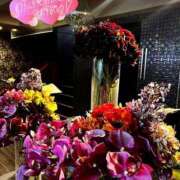 ヒメ日記 2025/02/19 22:02 投稿 ながれ 野田デリヘル若妻淫乱倶楽部