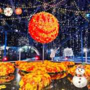 ヒメ日記 2024/12/25 15:43 投稿 ながれ 若妻淫乱倶楽部 久喜店