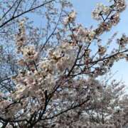 ヒメ日記 2025/04/11 18:33 投稿 すず ルージュ(会津若松)