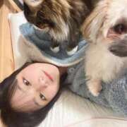 ヒメ日記 2024/12/29 08:51 投稿 ききょう まだ舐めたくて学園渋谷校〜舐めたくてグループ〜