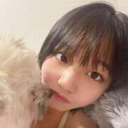 ヒメ日記 2025/04/14 23:20 投稿 ききょう まだ舐めたくて学園渋谷校〜舐めたくてグループ〜