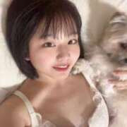 ヒメ日記 2025/04/16 19:10 投稿 ききょう まだ舐めたくて学園渋谷校〜舐めたくてグループ〜