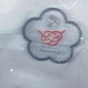 ヒメ日記 2025/03/21 01:08 投稿 咲枝ぽぽ 聖リッチ女学園