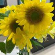 ヒメ日記 2025/09/03 01:00 投稿 ヒメ Celeb Garden(セレブガーデン)