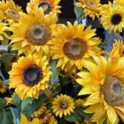 ヒメ日記 2025/09/06 23:15 投稿 ヒメ Celeb Garden(セレブガーデン)