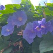 ヒメ日記 2025/09/07 23:42 投稿 ヒメ Celeb Garden(セレブガーデン)