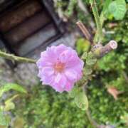 ヒメ日記 2025/09/11 19:22 投稿 ヒメ Celeb Garden(セレブガーデン)