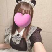ヒメ日記 2025/04/24 06:32 投稿 桜庭 ゆあ ハレ系 メイドin福岡