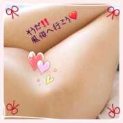 ヒメ日記 2025/04/09 10:45 投稿 絢乃(あやの) 高知デリヘル倶楽部 人妻熟女専門店