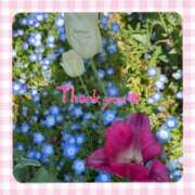 ヒメ日記 2025/08/09 23:30 投稿 絢乃(あやの) 高知デリヘル倶楽部 人妻熟女専門店