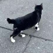 ヒメ日記 2025/03/09 20:02 投稿 らむ 新宿ハンドメイド