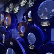 ヒメ日記 2025/05/03 19:30 投稿 らむ 新宿ハンドメイド