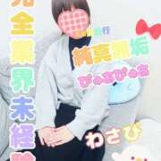 ヒメ日記 2024/12/17 12:53 投稿 新人 わさびｻﾝ De愛急行 栗東インター店