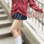 ヒメ日記 2026/03/19 01:04 投稿 しおん 赤坂添い寝女子