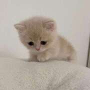 ヒメ日記 2025/07/01 21:22 投稿 くるちゃん キスからはじまるメンズエステ「ひめあね」