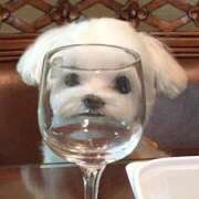 ヒメ日記 2026/02/16 19:12 投稿 くるちゃん キスからはじまるメンズエステ「ひめあね」