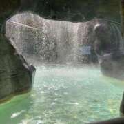 ヒメ日記 2025/01/18 01:05 投稿 新垣　りおな 三丁目の奥様（東京ハレ系）