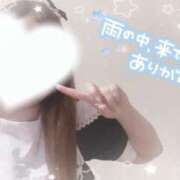 ヒメ日記 2024/12/14 17:08 投稿 みゆ BiBi