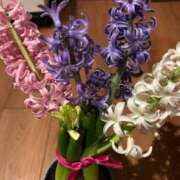 ヒメ日記 2025/01/27 18:21 投稿 みのり 熟女の風俗最終章 相模原店