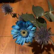 ヒメ日記 2025/03/31 07:45 投稿 みのり 熟女の風俗最終章 相模原店