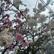 ヒメ日記 2025/04/02 18:31 投稿 みのり 熟女の風俗最終章 相模原店