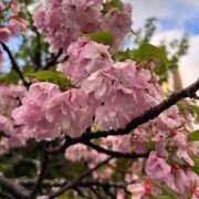 ヒメ日記 2025/04/14 05:51 投稿 みのり 熟女の風俗最終章 相模原店