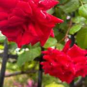 ヒメ日記 2025/05/07 06:03 投稿 みのり 熟女の風俗最終章 相模原店