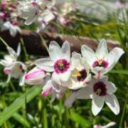 ヒメ日記 2025/05/07 17:20 投稿 みのり 熟女の風俗最終章 相模原店