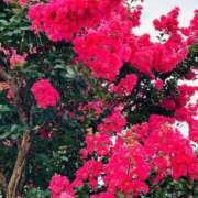 ヒメ日記 2025/05/10 07:00 投稿 みのり 熟女の風俗最終章 相模原店