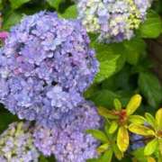 ヒメ日記 2025/06/10 07:40 投稿 みのり 熟女の風俗最終章 相模原店