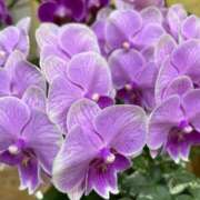 ヒメ日記 2025/06/12 17:34 投稿 みのり 熟女の風俗最終章 相模原店