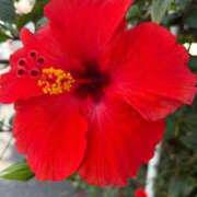 ヒメ日記 2025/07/07 04:40 投稿 みのり 熟女の風俗最終章 相模原店