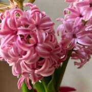 ヒメ日記 2025/01/15 10:03 投稿 みのり 熟女の風俗最終章 町田店