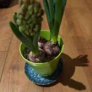 ヒメ日記 2025/02/08 06:01 投稿 みのり 熟女の風俗最終章 町田店