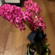 ヒメ日記 2025/02/13 05:01 投稿 みのり 熟女の風俗最終章 町田店