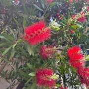 ヒメ日記 2025/05/13 15:50 投稿 みのり 熟女の風俗最終章 町田店